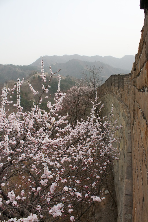 Mutianyu53