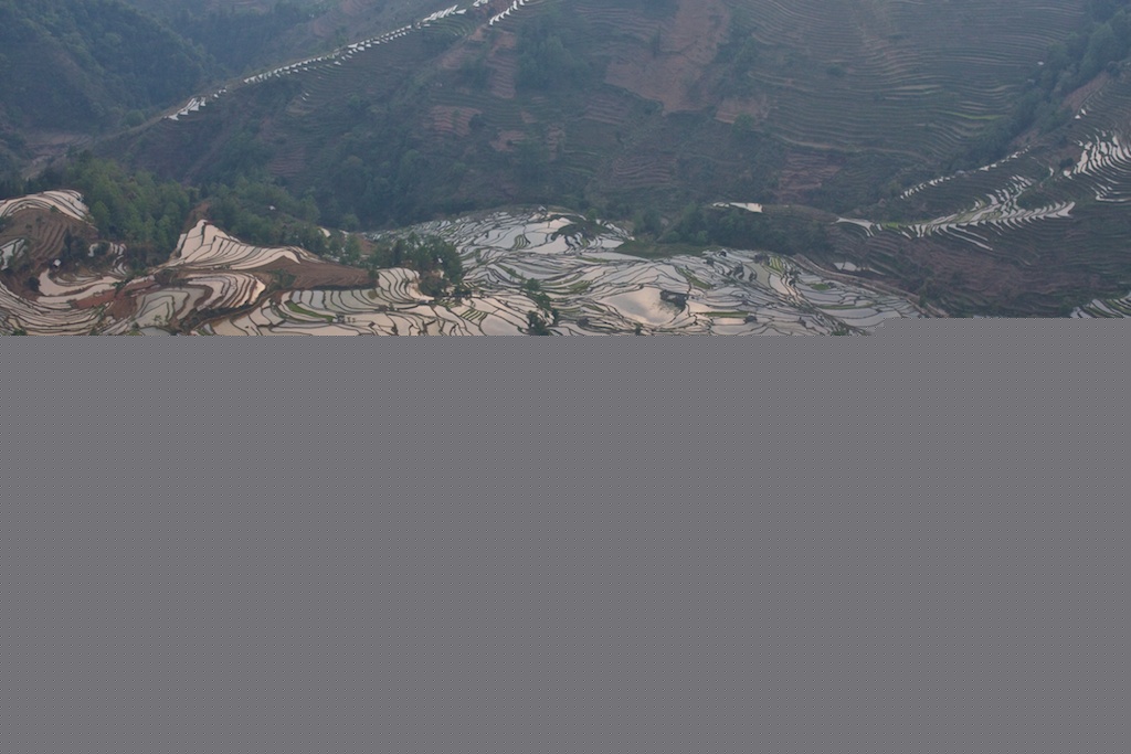 Yuanyang 9