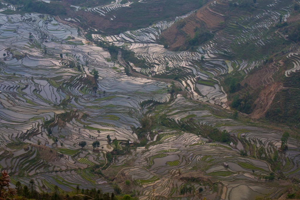Yuanyang 9