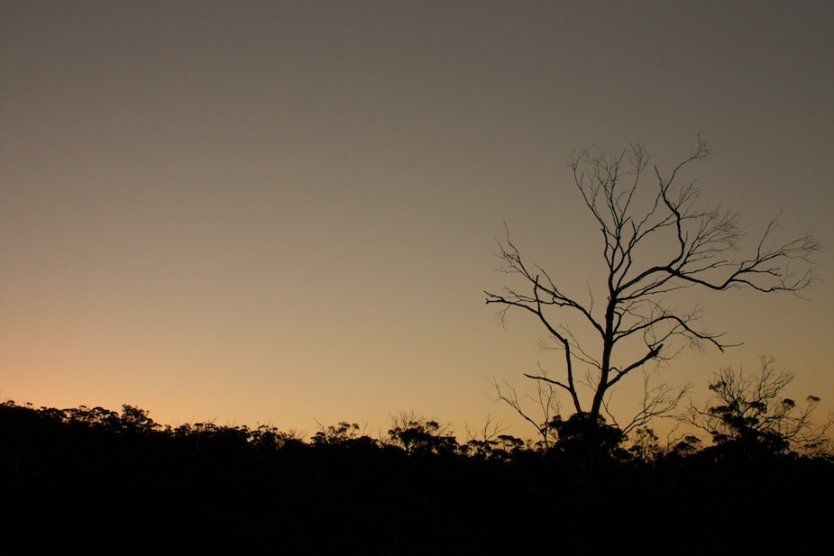 freycinet-1