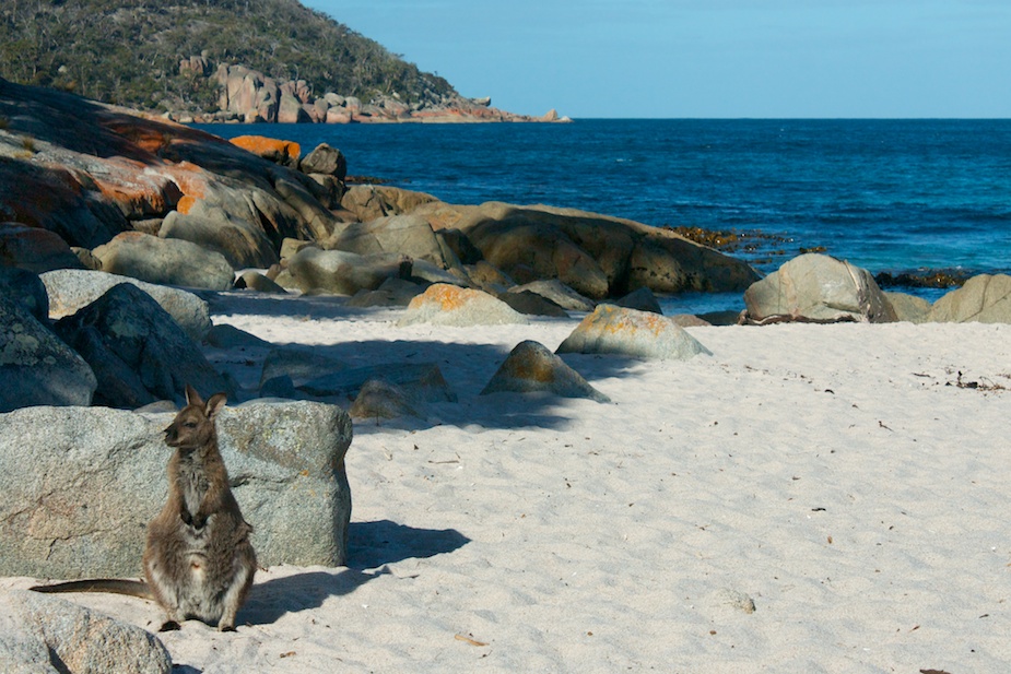 freycinet-22