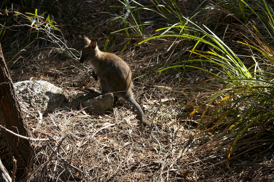 freycinet-45