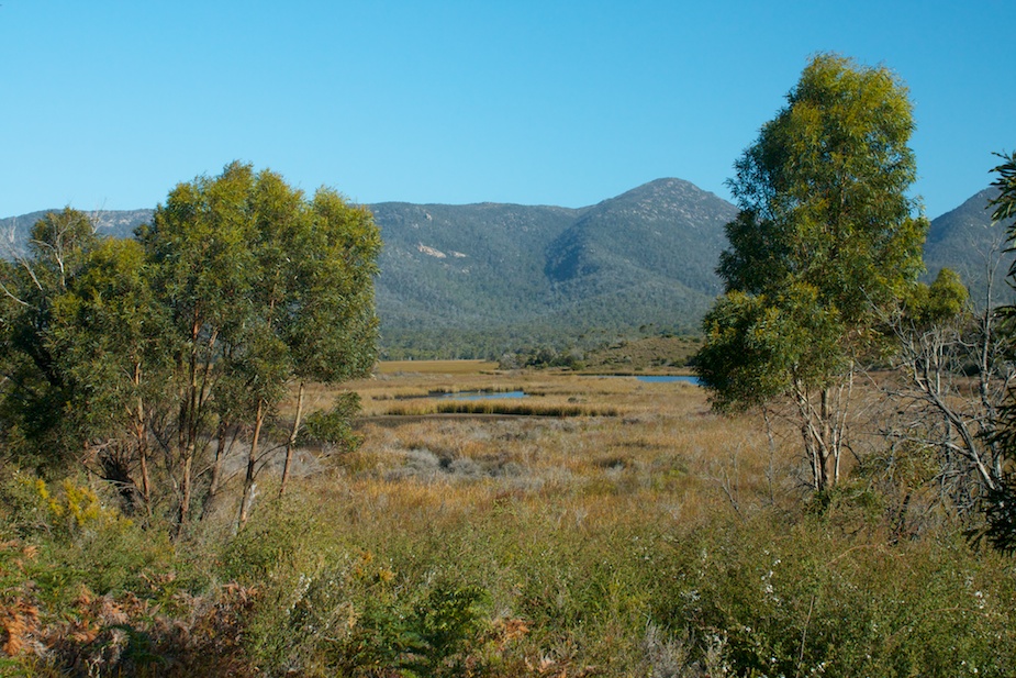 freycinet-48