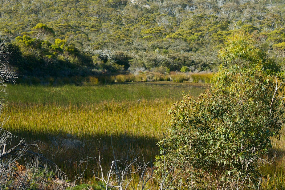 freycinet-49