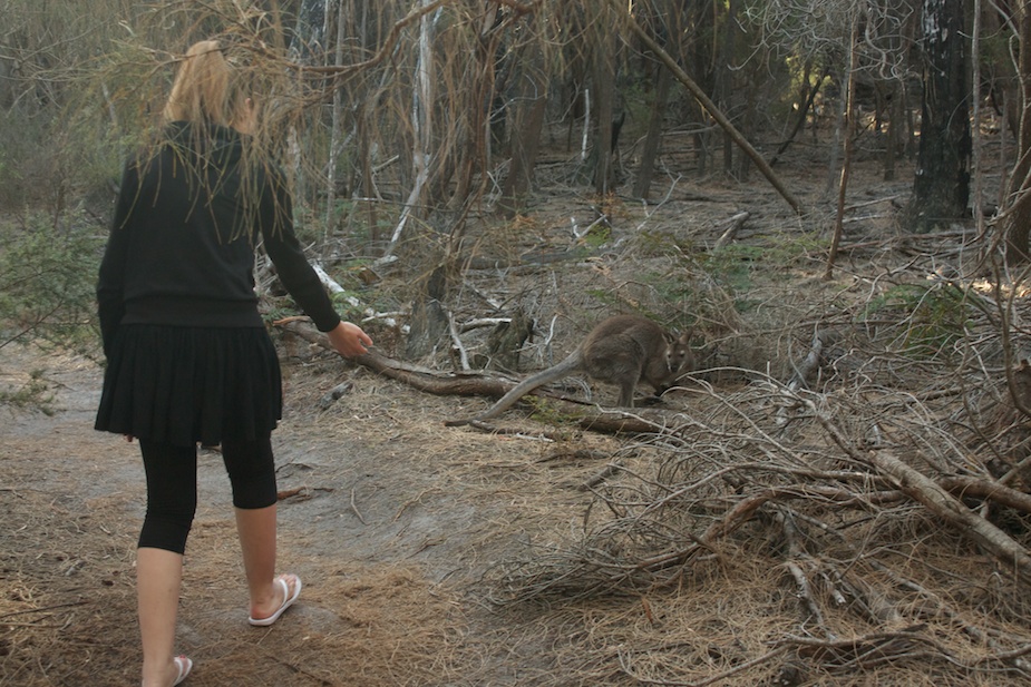 freycinet-7