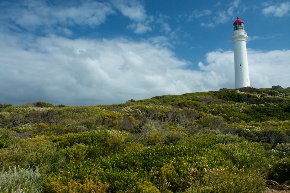 great ocean road-13