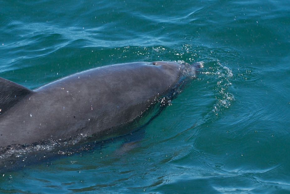 jervis bay-14