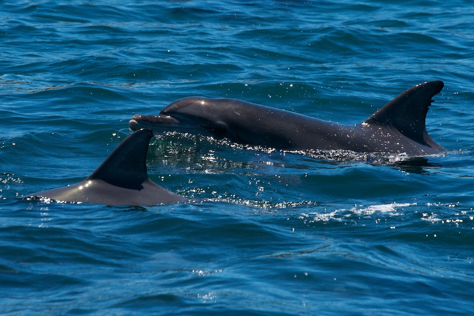 jervis bay-18