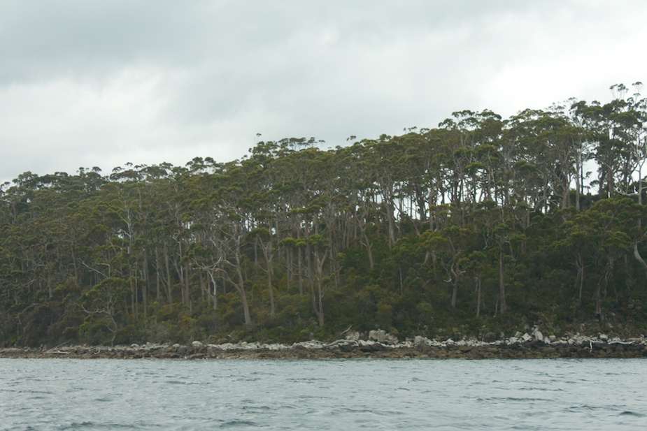 tasman-peninsula-1