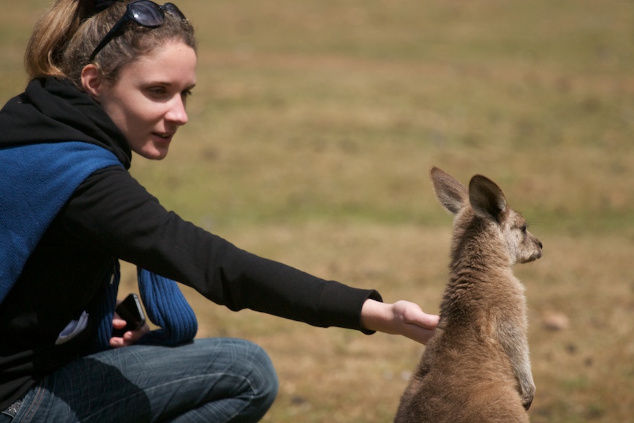 tasmanian devil conservation park-14