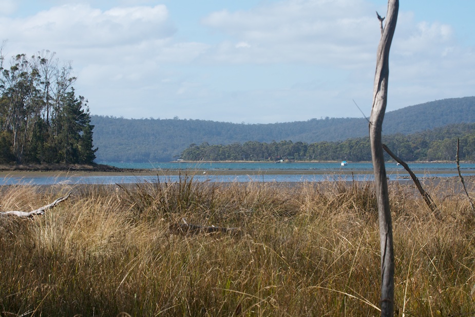 tasmanian devil conservation park-35