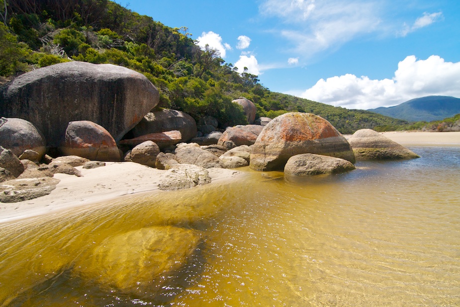 wilson promontory-15