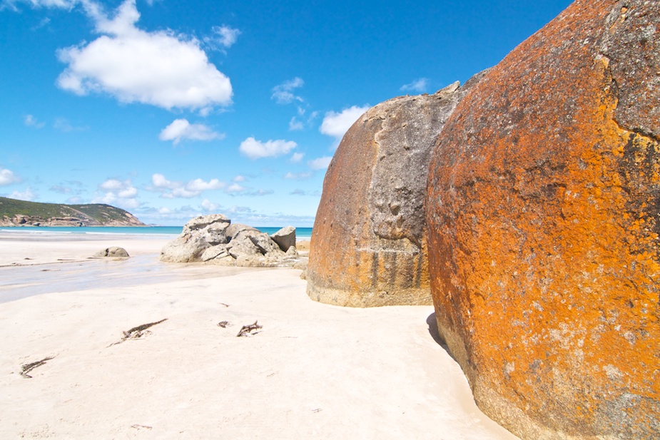 wilson promontory-20