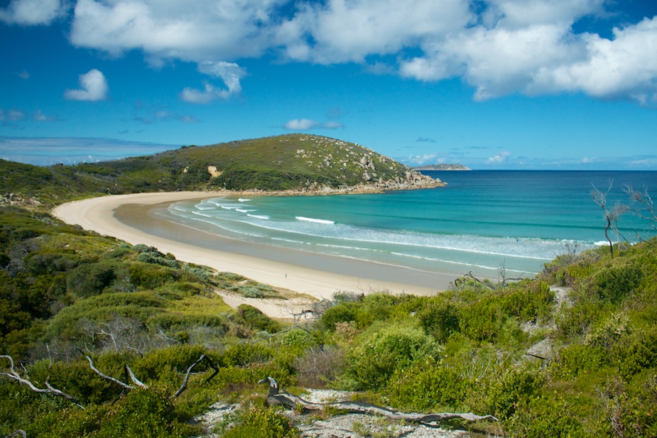 wilson promontory-29