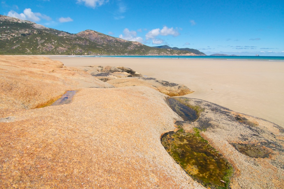 wilson promontory-5