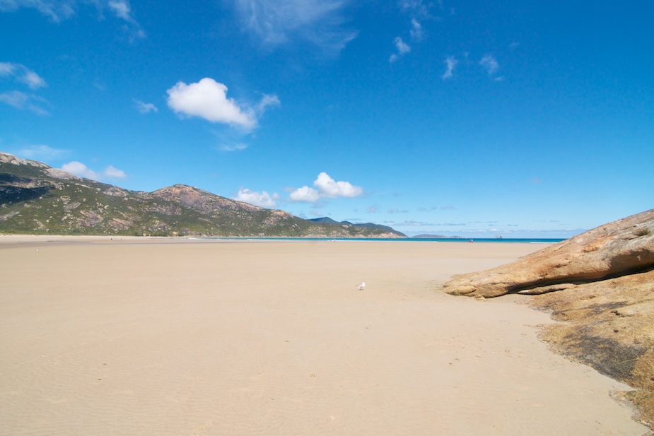 wilson promontory-6