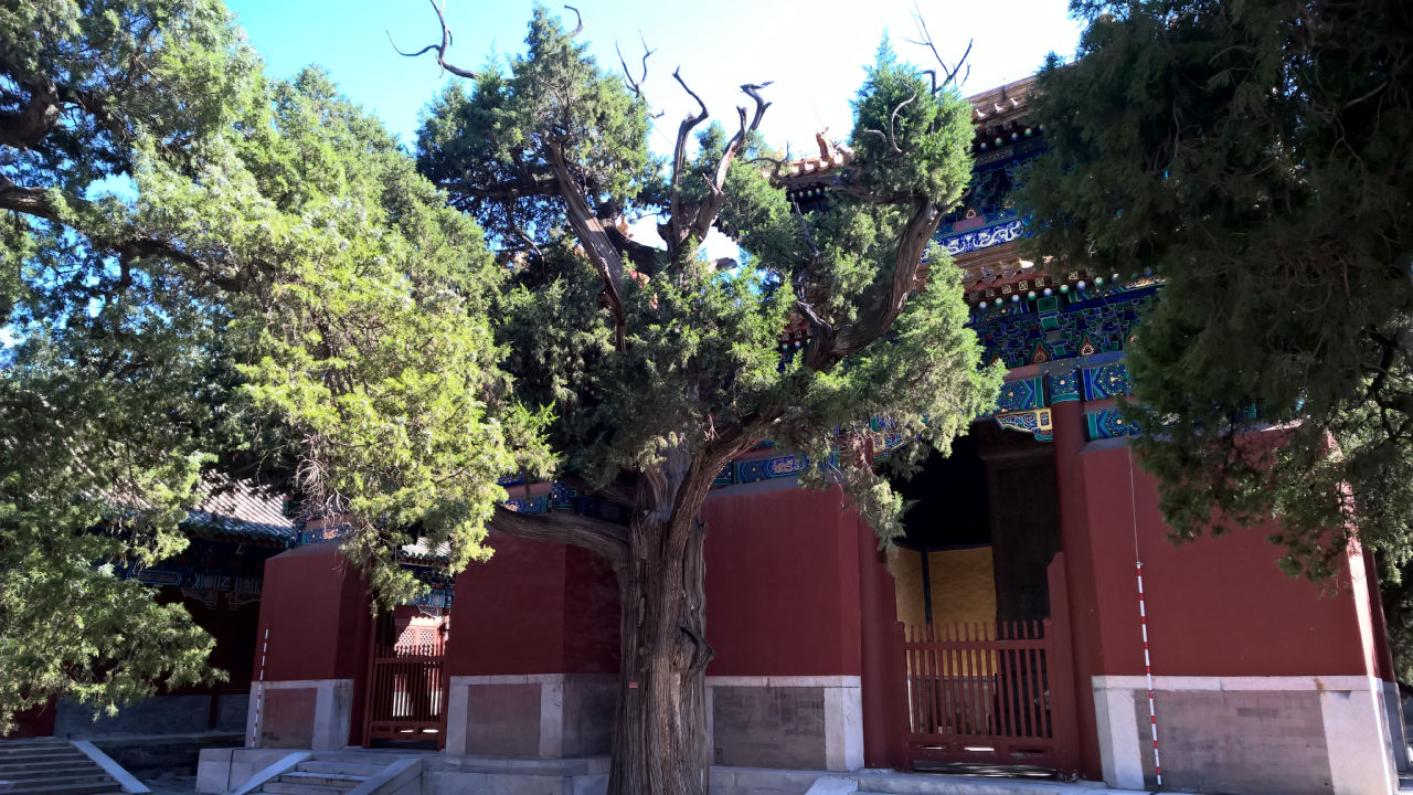 confucian-temple