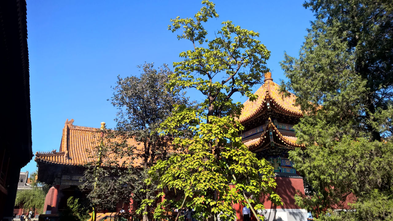 lama-temple