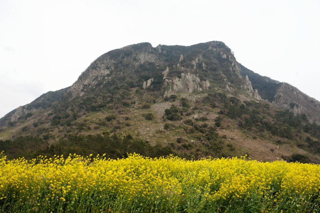 MG 2729-jeju