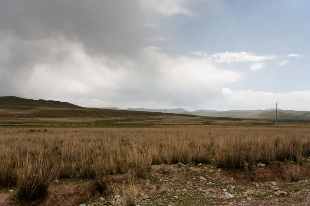  MG 4099-gansu-qinghai