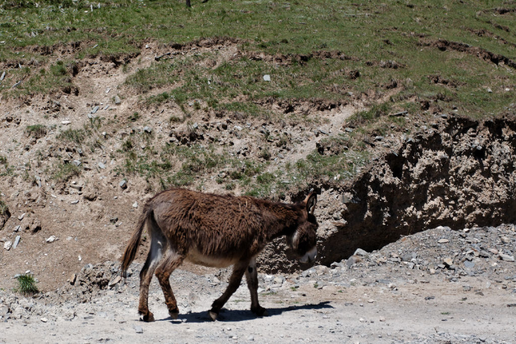  MG 3996-gansu-qinghai