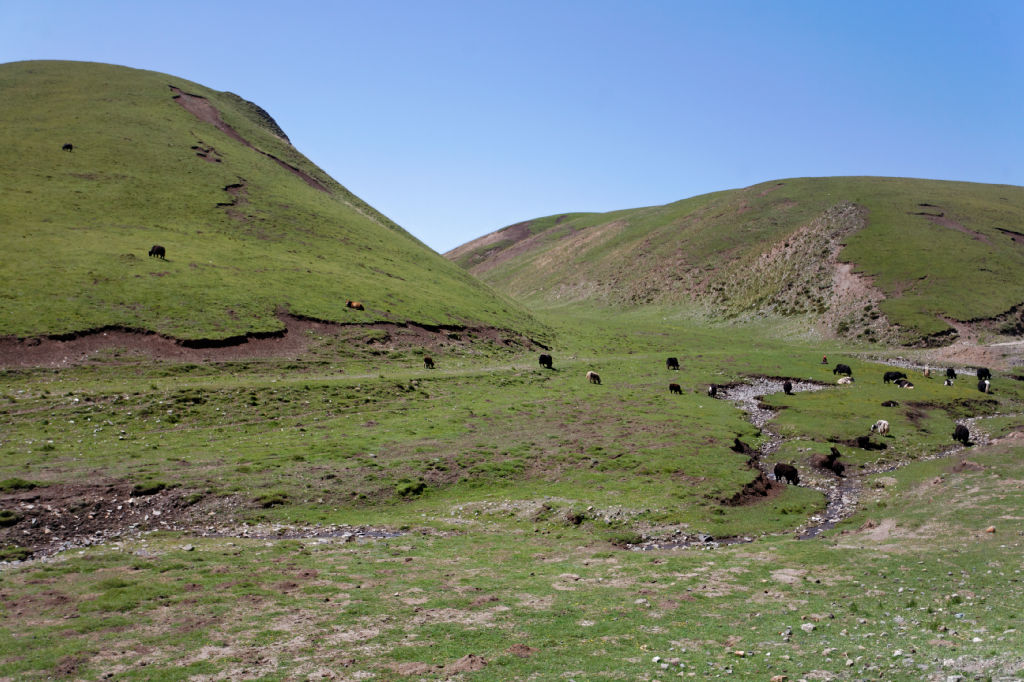  MG 3999-gansu-qinghai