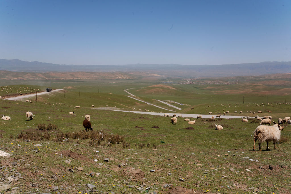  MG 4013-gansu-qinghai