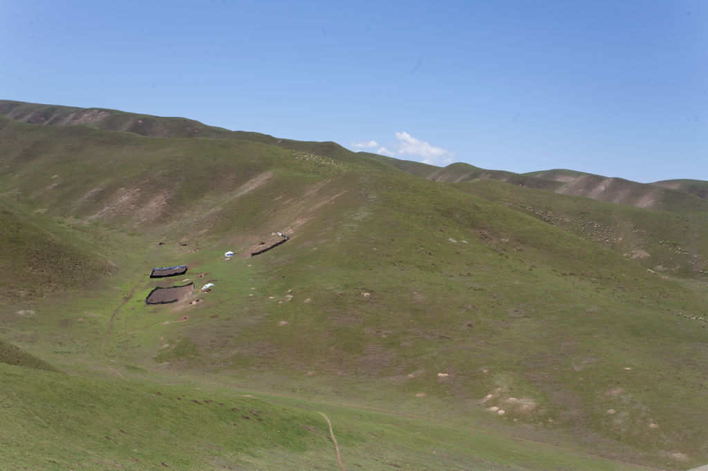  MG 4018-gansu-qinghai