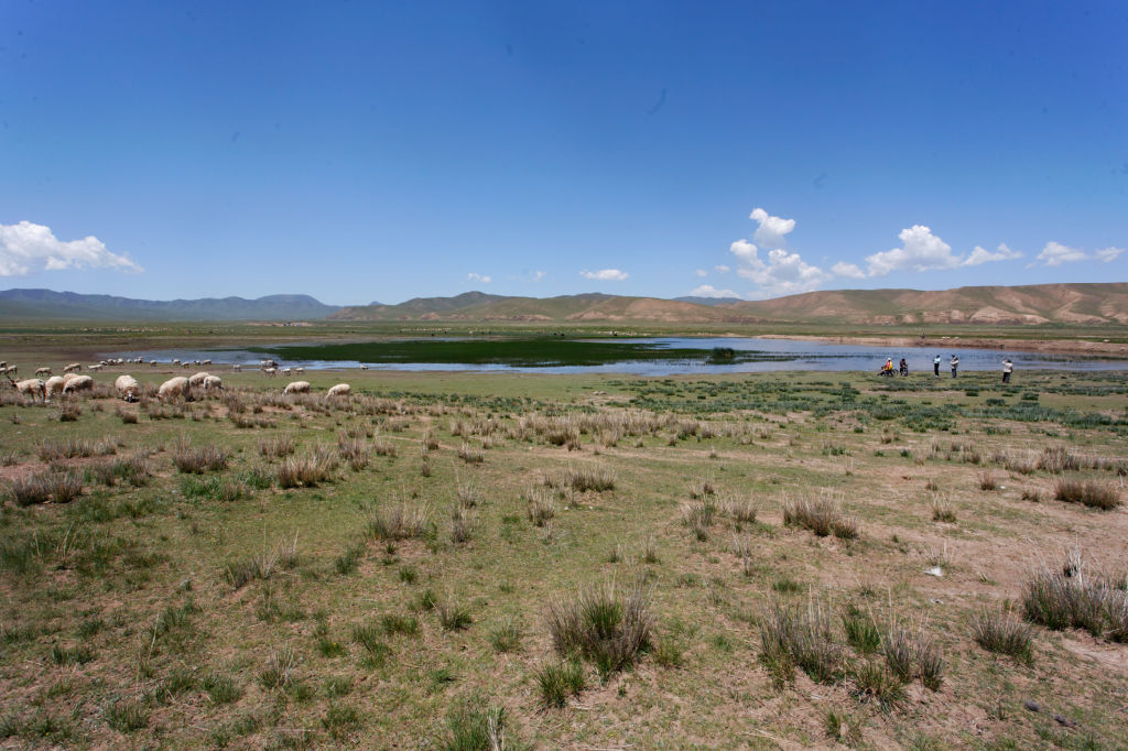  MG 4020-gansu-qinghai