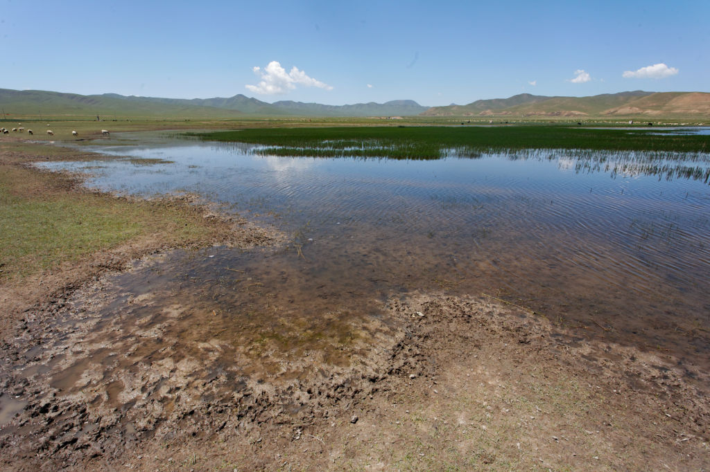  MG 4022-gansu-qinghai