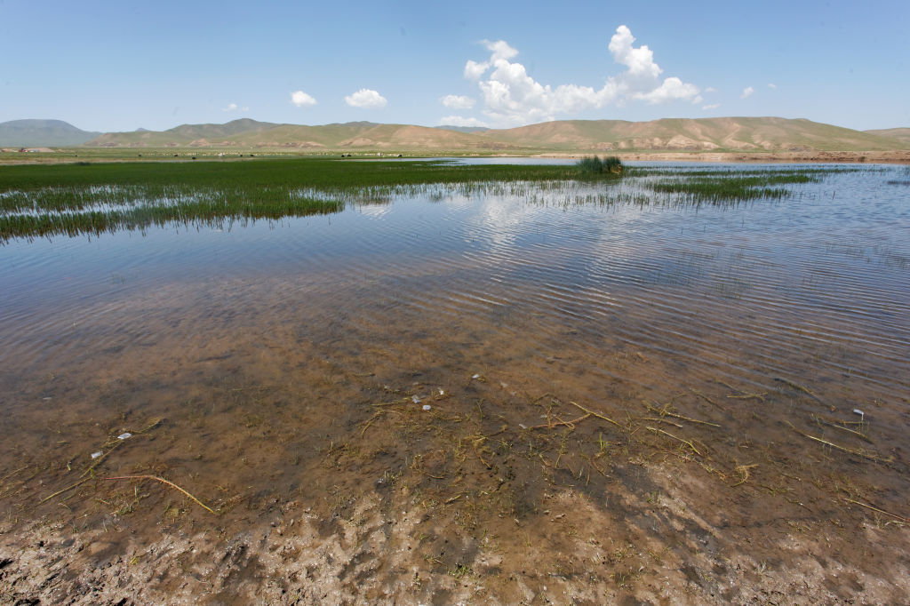  MG 4024-gansu-qinghai