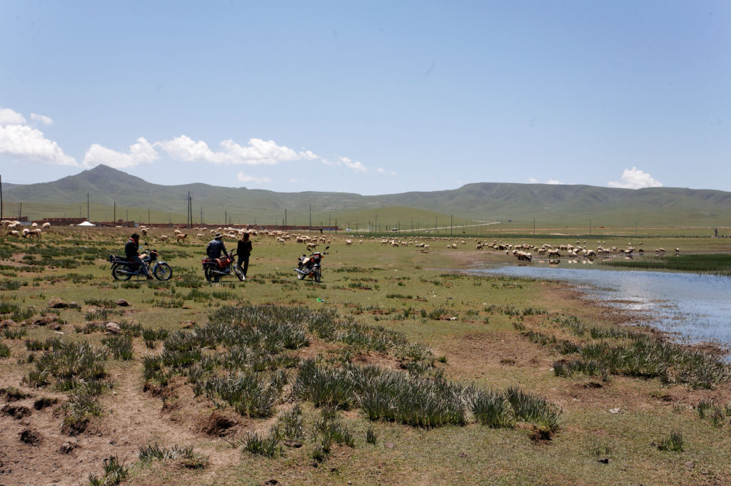  MG 4030-gansu-qinghai