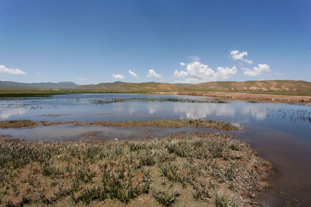  MG 4032-gansu-qinghai