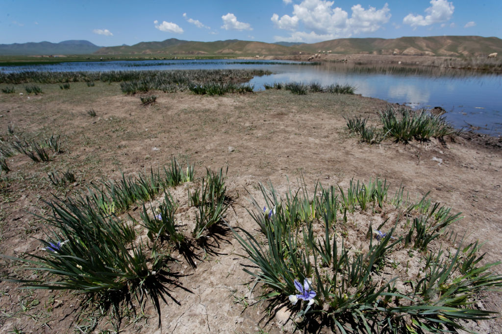  MG 4033-gansu-qinghai