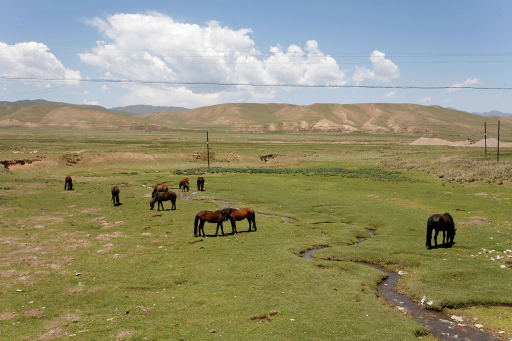  MG 4045-gansu-qinghai