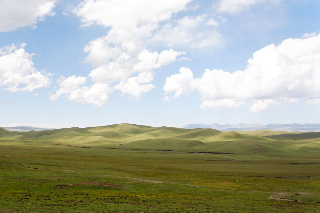  MG 4116-gansu-qinghai