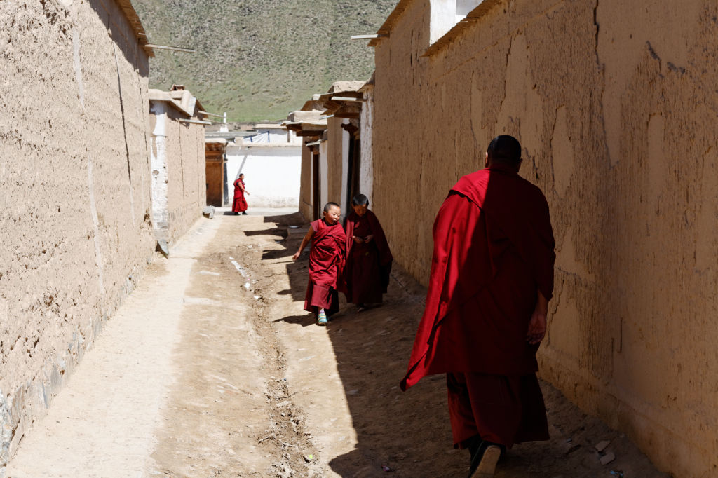  MG 3804-gansu-qinghai