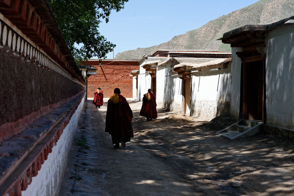  MG 3813-gansu-qinghai