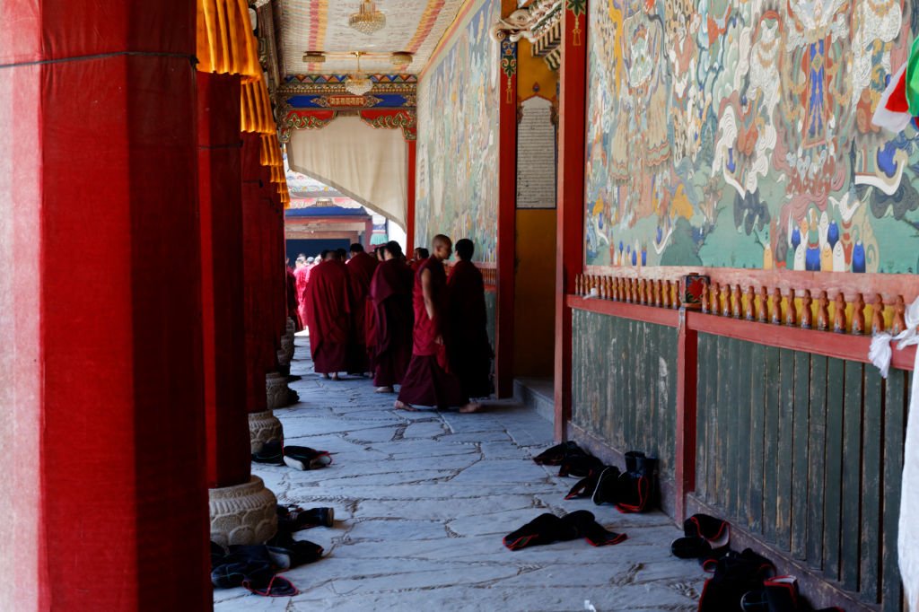  MG 3835-gansu-qinghai