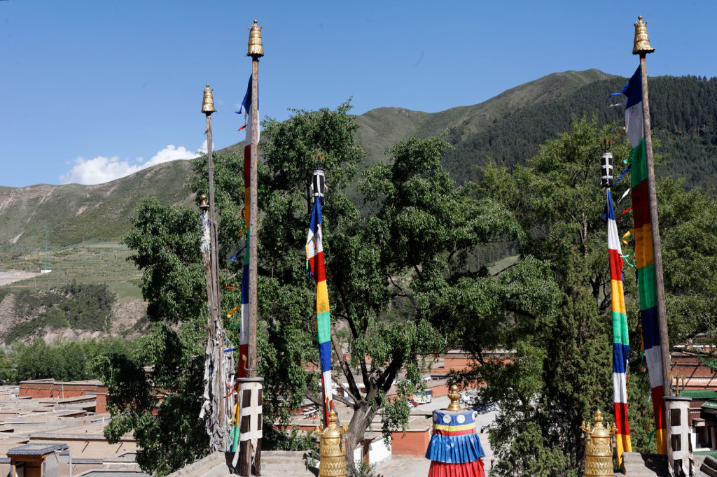  MG 3906-gansu-qinghai