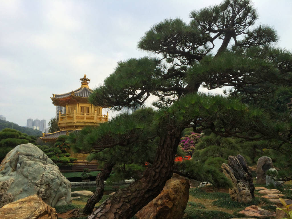 hong-kong-nanlian-garden-chilin-nunnery