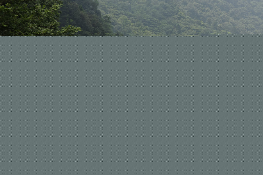 IMG 0257-wudangshan