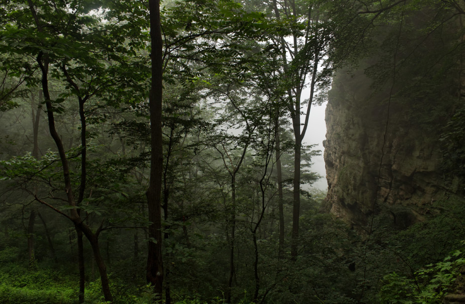 IMG 0270-wudangshan