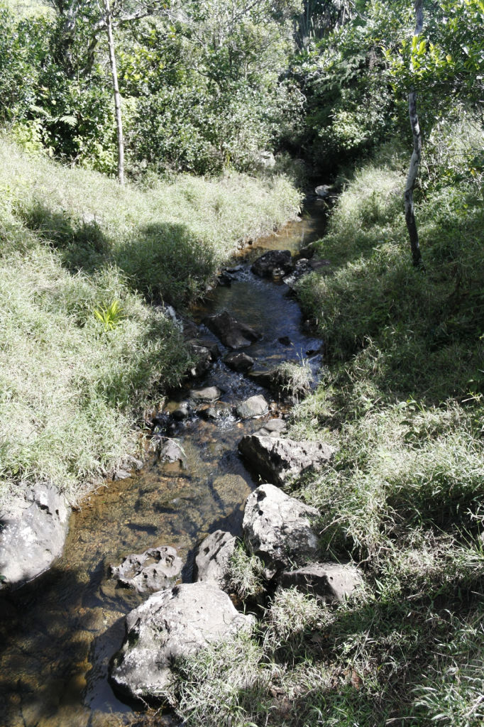 tour-de-l-ile-maurice