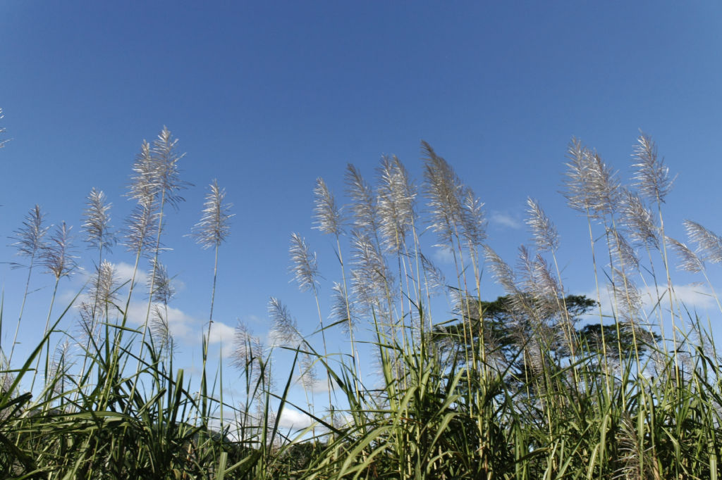 tour-de-l-ile-maurice