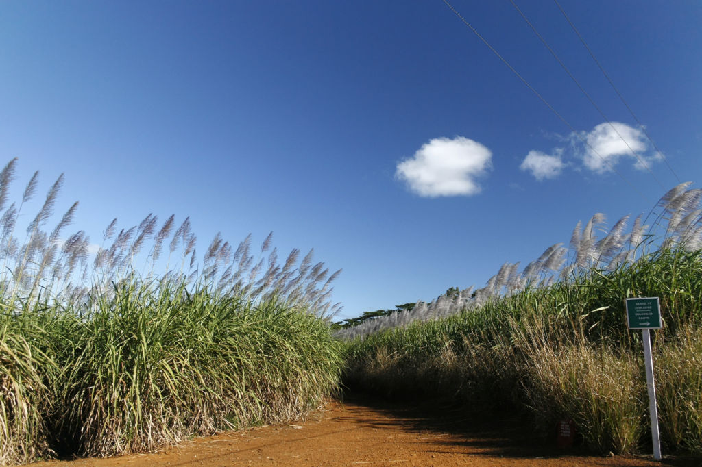 tour-de-l-ile-maurice