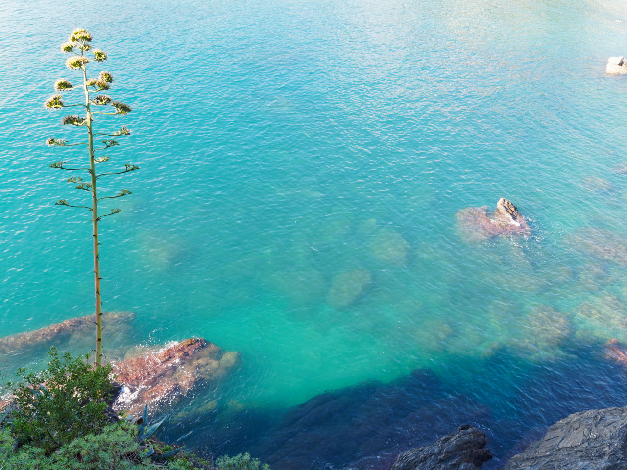 Monterosso-7