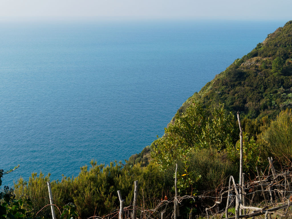 riomaggiore