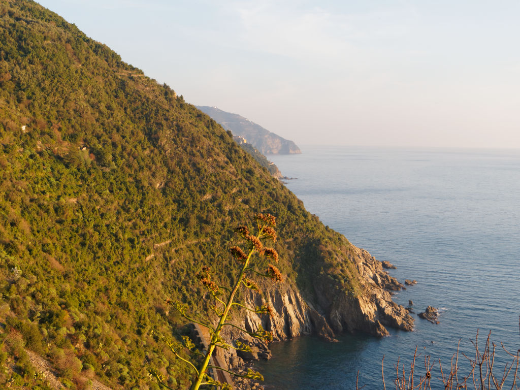 sentier-cinque-terre