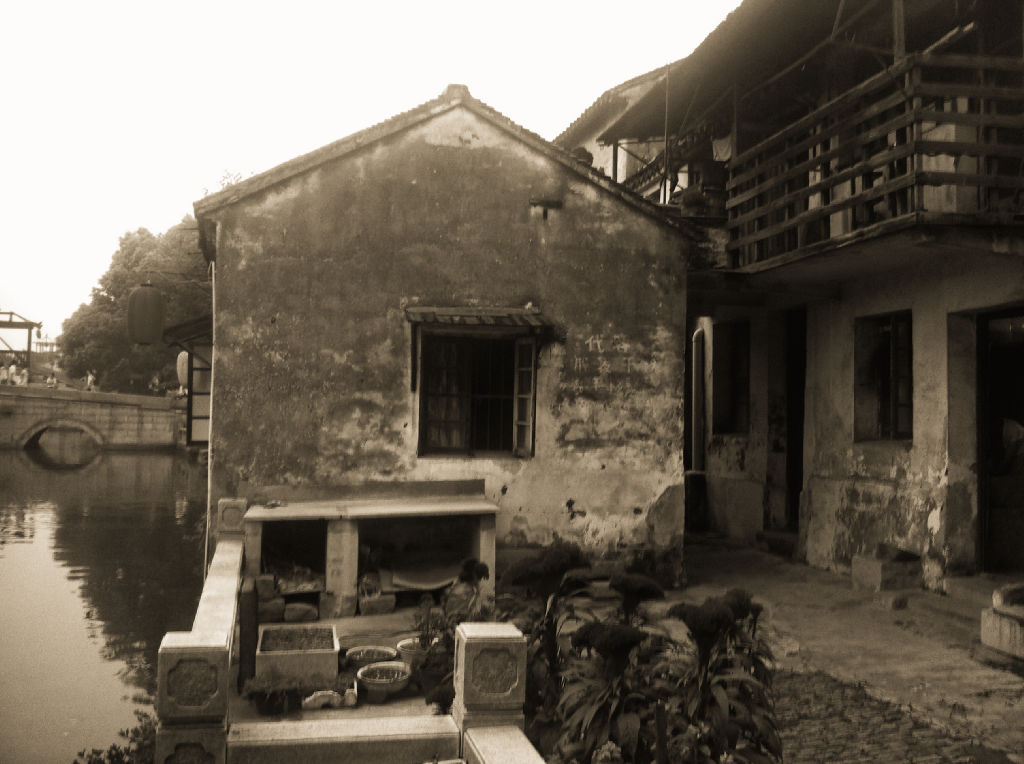 tongli-5